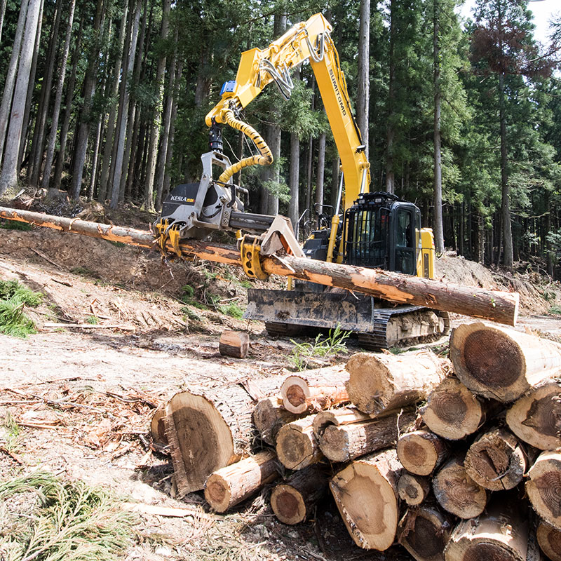 高性能林業機械(ハーベスタ)での枝払・造材作業