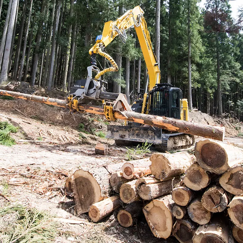 高性能林業機械(ハーベスタ)での枝払・造材作業