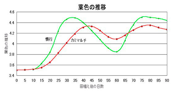葉色の推移